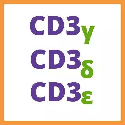 CD3