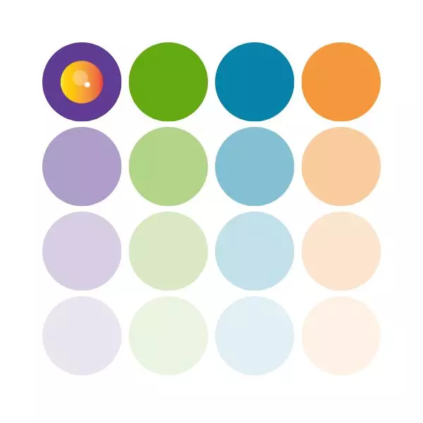 ELISA Kits, The Basics