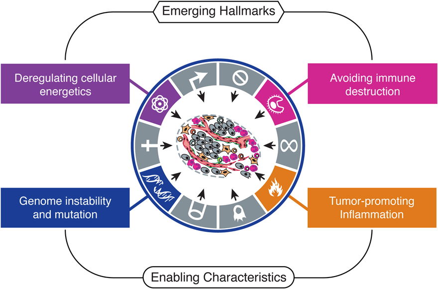 Emerging Hallmarks