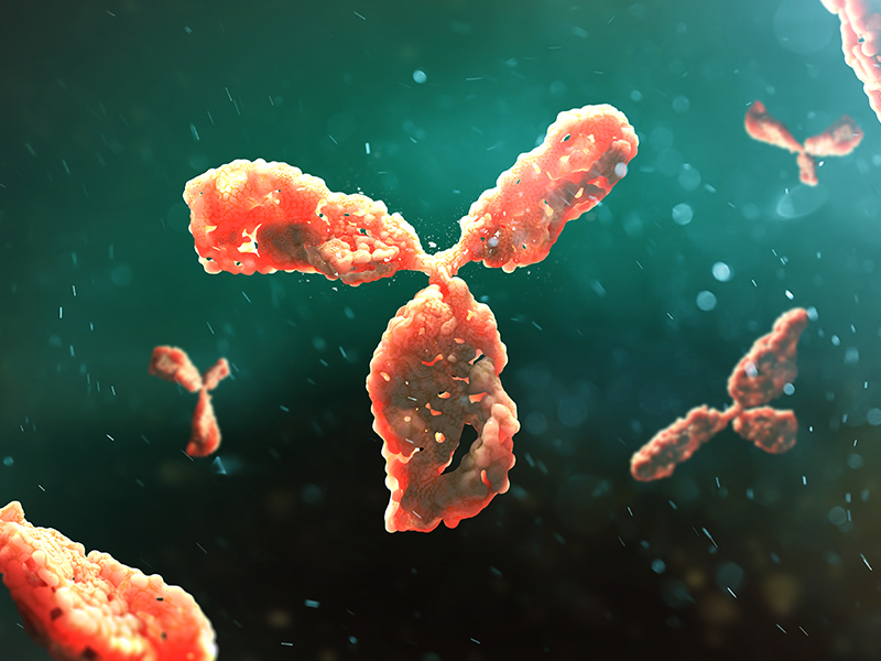 NF-κB Signaling Pathway