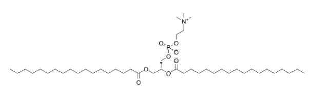 1,2-DSPC Structure