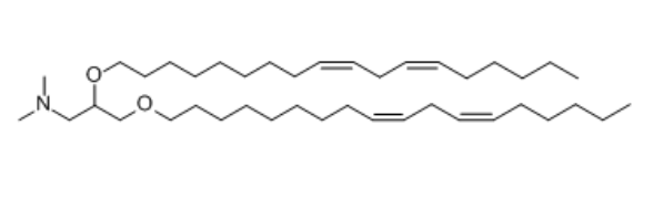 DLinDMA Structure