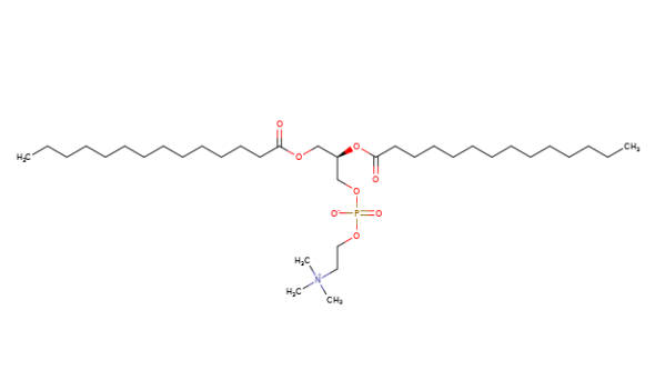 DMPC Structure