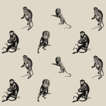 Monkey-derived ELISA Kits