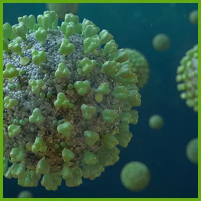 Coronavirus