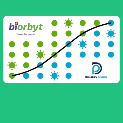 Covid-19 ELISA Assays