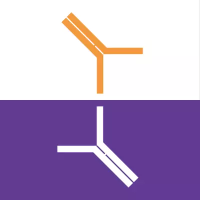 Matched Pair Antibodies for Mosquito-Borne Diseases