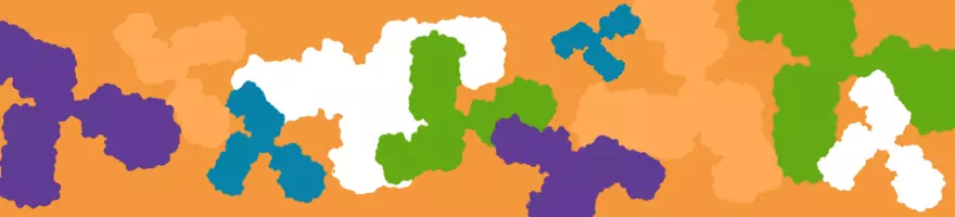 Modified Antibodies