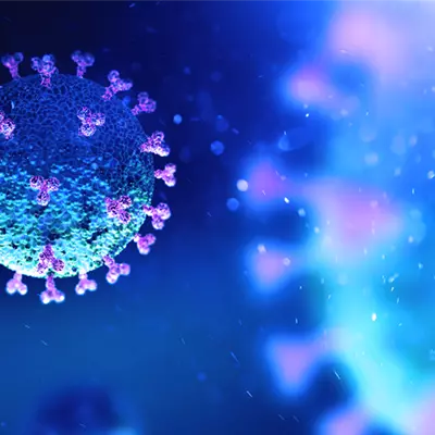 Novel spike protein - D614G variant