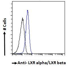 LXR alpha/LXR beta Antibody
