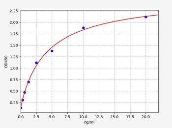 Human CAMK2B ELISA Kit