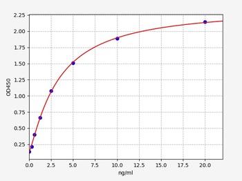 Human CRBN ELISA Kit