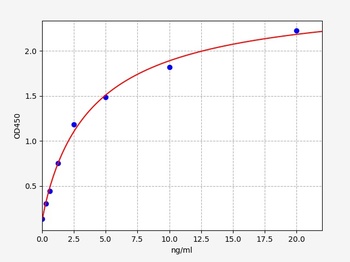 Human CS ELISA Kit