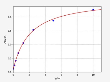 Human ATG12 ELISA Kit