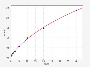 Human MHCG ELISA Kit