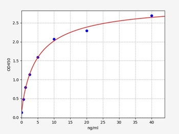 Rat EL ELISA Kit