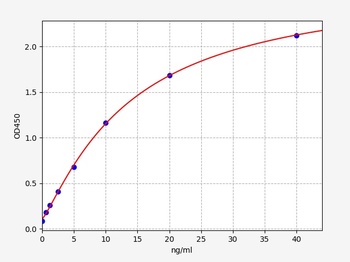 Rabbit Bcl-2 ELISA Kit