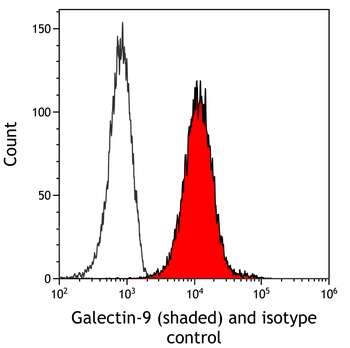 Rabbit anti-Galectin-9/Gal-9 Recombinant Monoclonal Antibody [BLR193J]