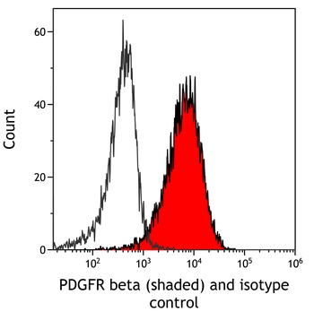 Rabbit anti-PDGFR beta Recombinant Monoclonal Antibody [BLR081G]