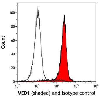 Rabbit anti-MED1 Recombinant Monoclonal Antibody [BLR037F]