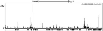 Rabbit anti-NCoR Antibody, Affinity Purified