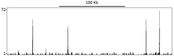 Rabbit anti-TIF1 Alpha/TRIM24 Antibody, Affinity Purified