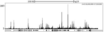 Rabbit anti-RbBP5 Antibody, Affinity Purified