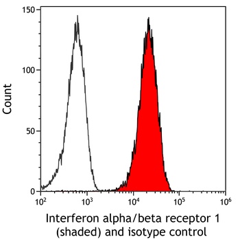 Rabbit anti-Interferon alpha/ beta receptor 1 Recombinant Monoclonal Antibody [BLR265L]