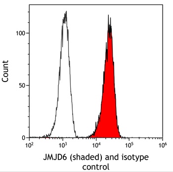 Rabbit anti-JMJD6 Recombinant Monoclonal Antibody [BLR254L]