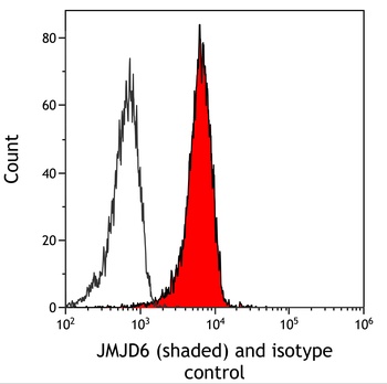 Rabbit anti-JMJD6 Recombinant Monoclonal Antibody [BLR254L]