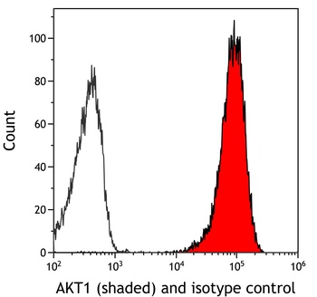 Rabbit anti-AKT1 Recombinant Monoclonal Antibody [BLR245L]