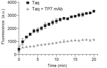 Mouse anti-Taq Polymerase Recombinant Monoclonal Antibody [TP7]