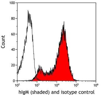 Rabbit anti-IgM Recombinant Monoclonal Antibody [BLR294L]