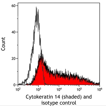 Mouse anti-Cytokeratin 14 Recombinant Monoclonal Antibody [LL002]