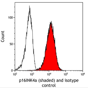 Mouse anti-p16INK4a Recombinant Monoclonal Antibody [BC42]