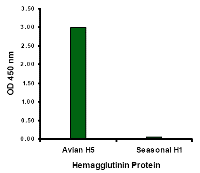 Hemagglutinin Antibody [4H1C10]