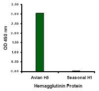 Hemagglutinin Antibody [4F1F2]