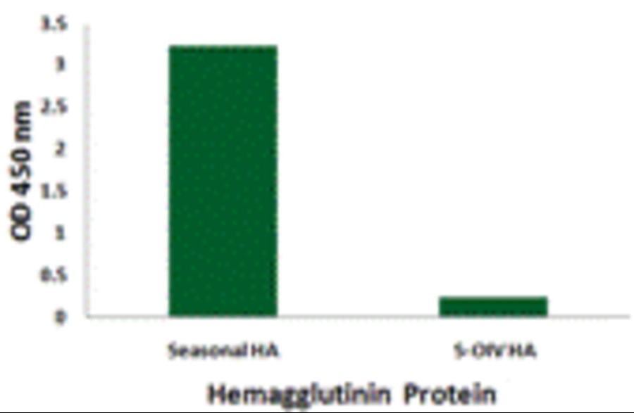 Seasonal H1N1 Hemagglutinin Antibody [7H12F6]