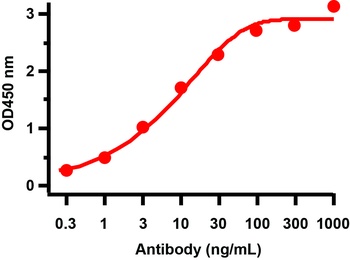 SARS-CoV-2 (COVID-19) ORF8 Antibody