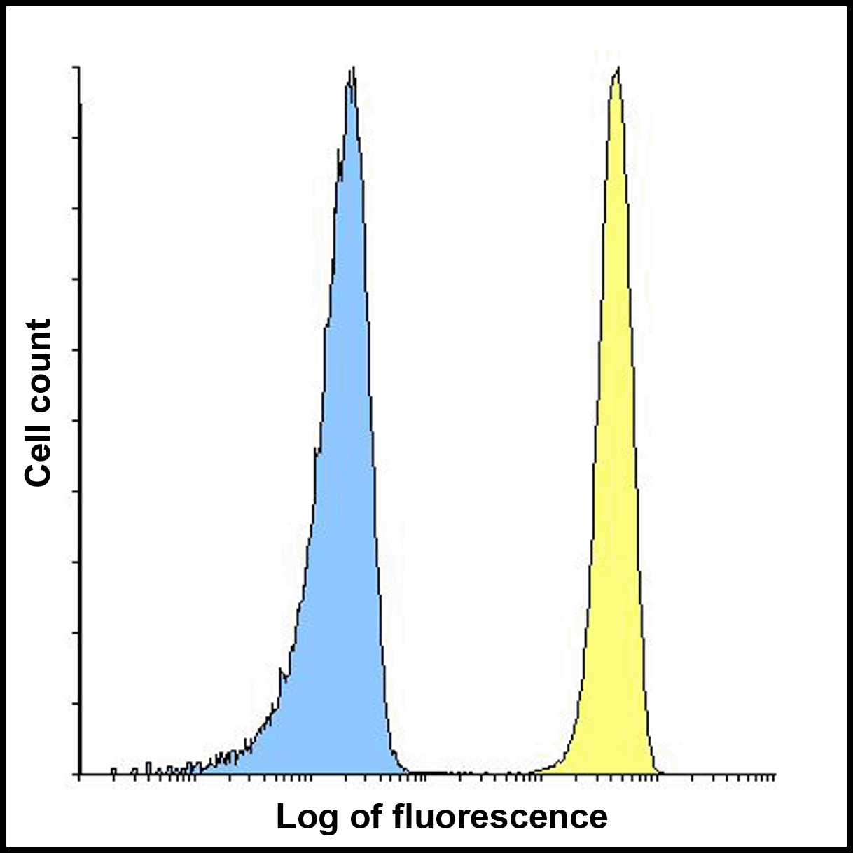 B7H3 Antibody [10G6]