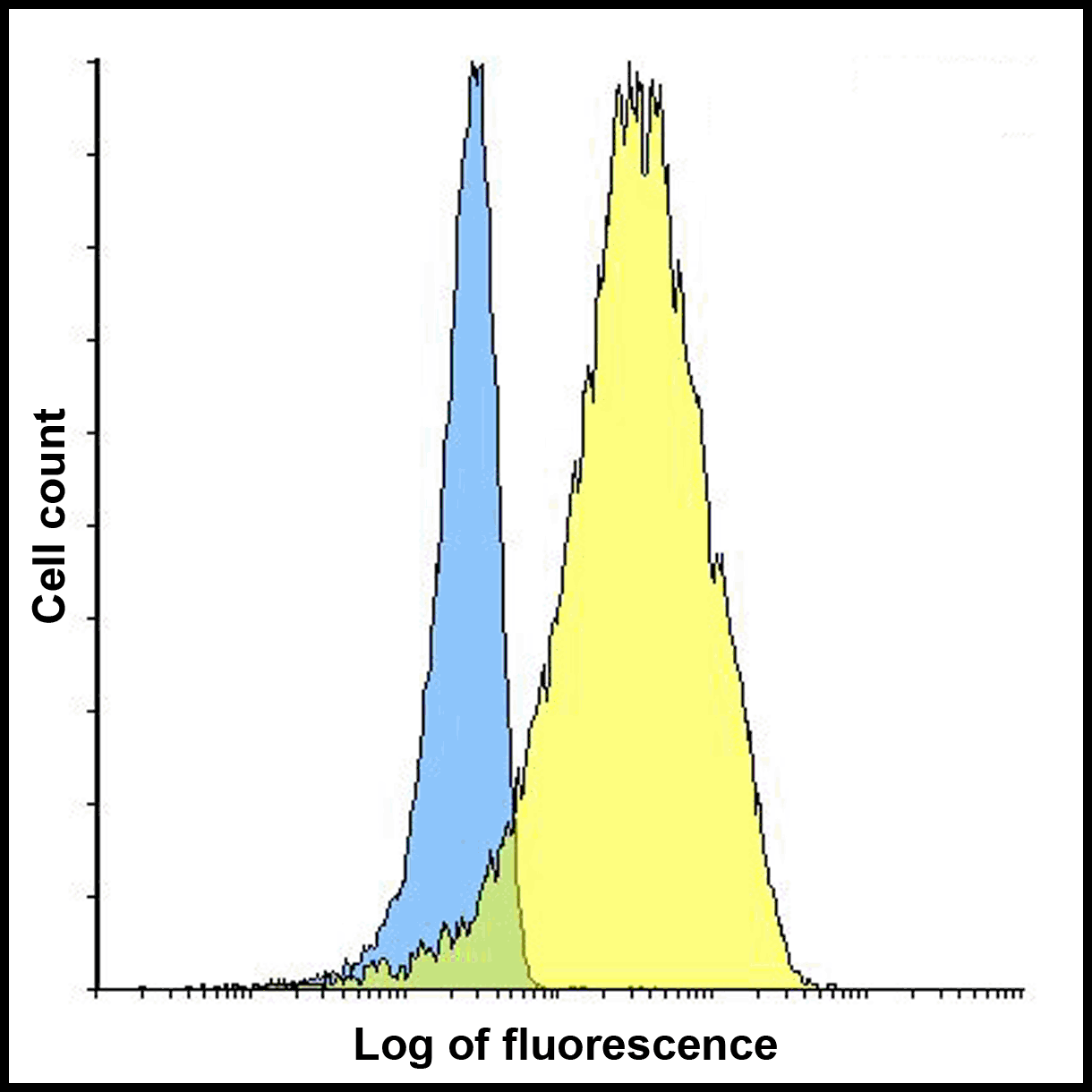 LIGHT Antibody [8D4]