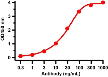 SARS-CoV-2 (COVID-19) Spike 681P Antibody