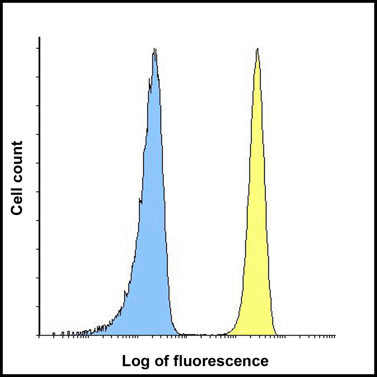 B7H3 Antibody [2H5]