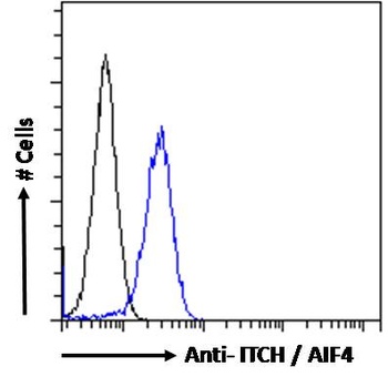 AIF4 Antibody