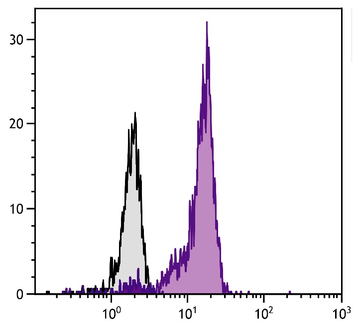 Fas Ligand Antibody [SB93a] (FITC)