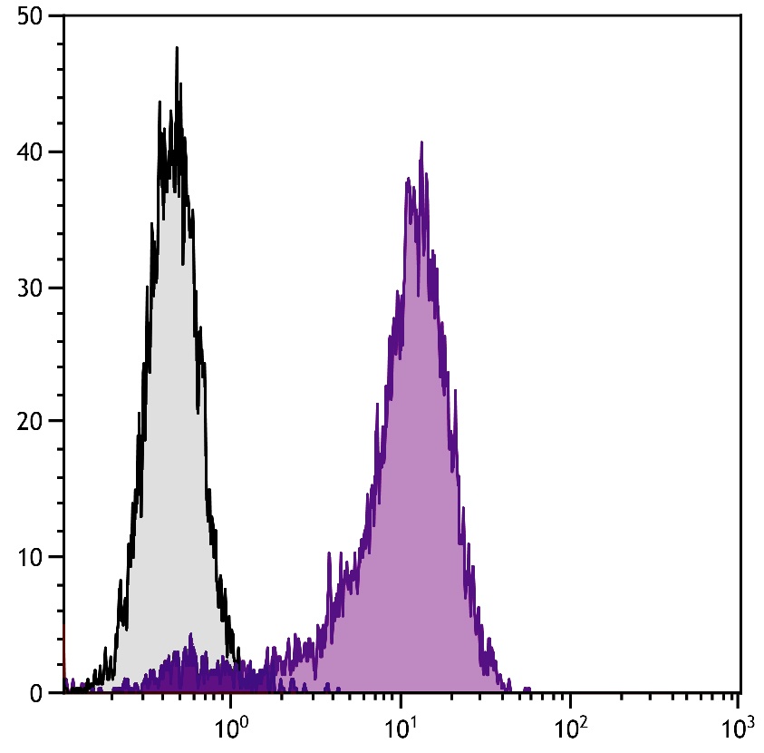 CD30 Antibody [mCD30.1] (PE)