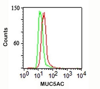 MUC5AC Antibody [45M1]