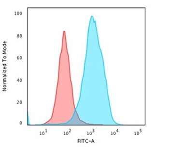 HSP60 Antibody [LK1]