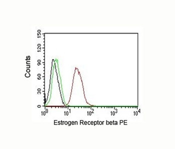 Estrogen Receptor beta Antibody [ERb455]