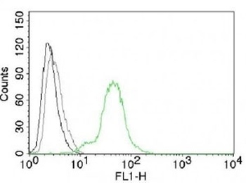 Estrogen Receptor beta Antibody [ERb455]